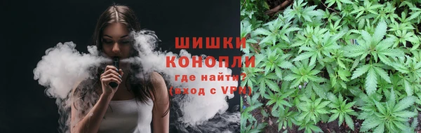 ГАЛЛЮЦИНОГЕННЫЕ ГРИБЫ Белоозёрский